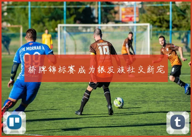 桥牌锦标赛成为银发族社交新宠