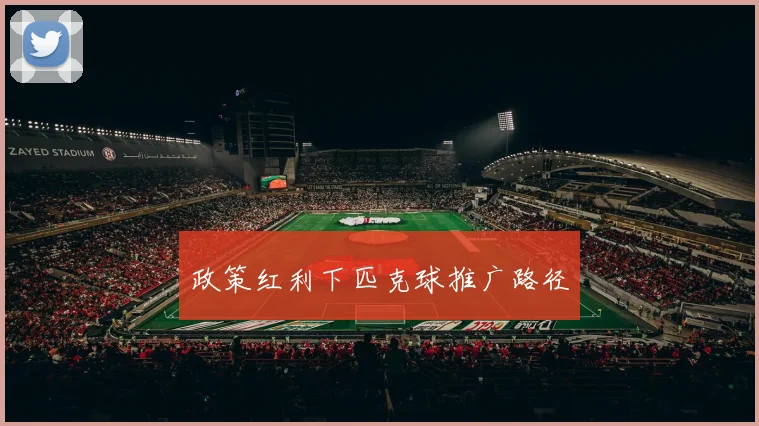 政策红利下匹克球推广路径