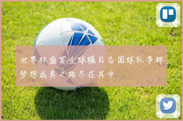 世界杯盛宴全球瞩目各国球队争辉梦想成真之路尽在其中
