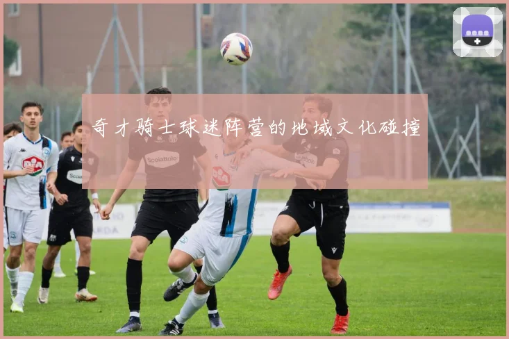 奇才骑士球迷阵营的地域文化碰撞