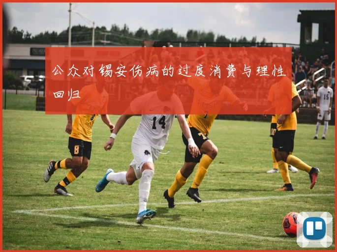 公众对锡安伤病的过度消费与理性回归
