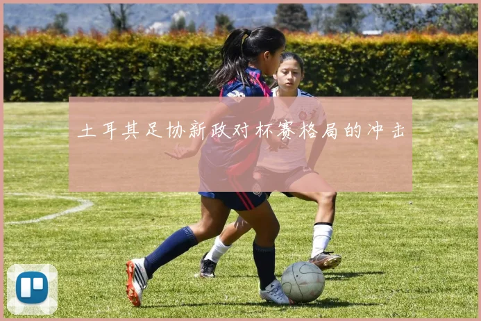 土耳其足协新政对杯赛格局的冲击