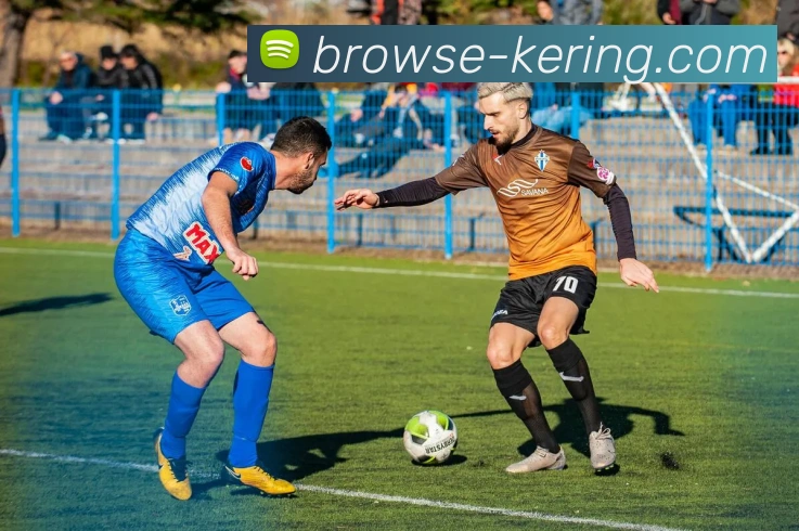 开云平台生态图